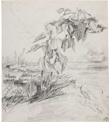 Чеботарёв Константин Константинович. Подсолнухи с рыбой (на оборотной стороне карандашный рисунок с интерьером)